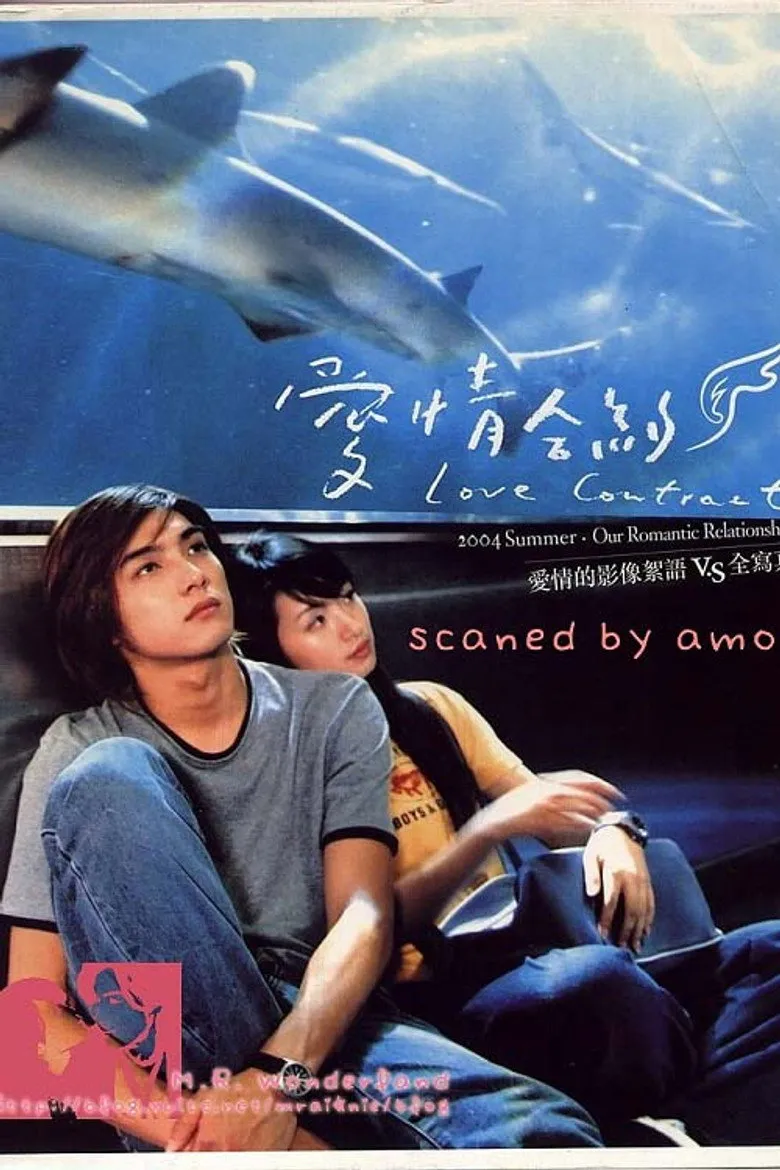 爱情合约